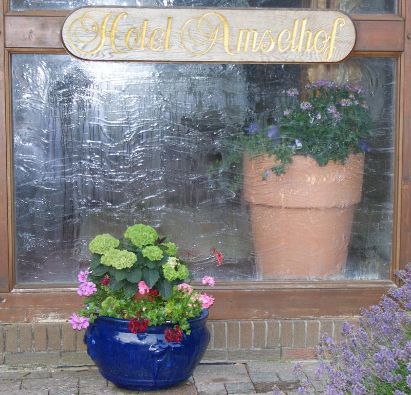 Hotel Amselhof Bispingen Eksteriør billede